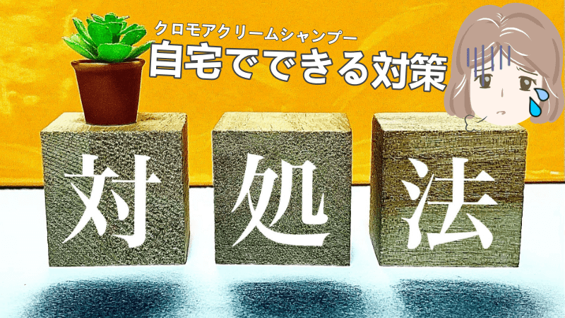 クロモアシャンプーが染まらないときの対策